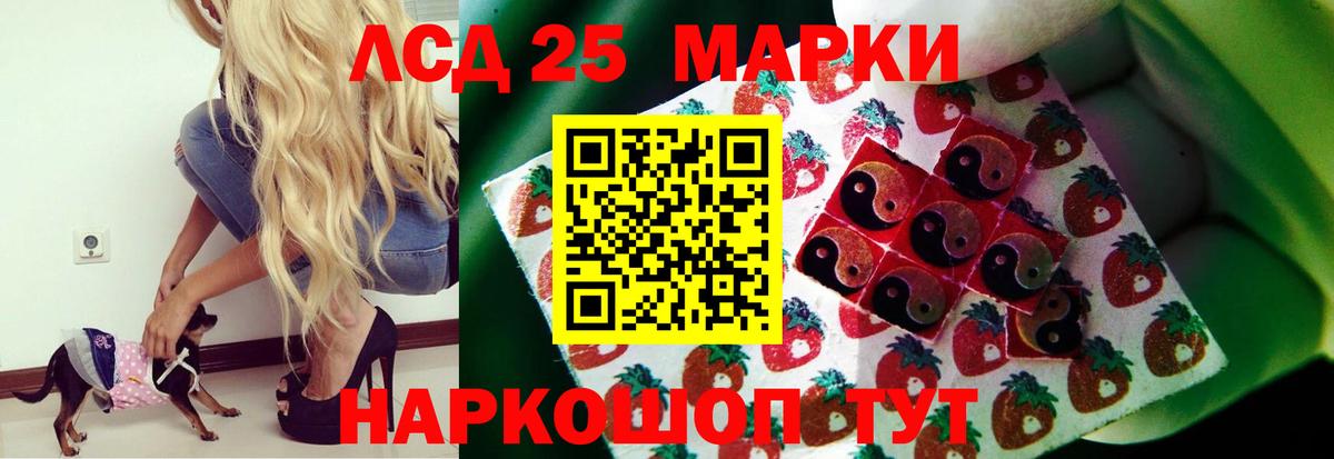 Лсд 25 экстази ecstasy  Лсд 25 экстази ecstasy  Аргун  Вход с VPN 