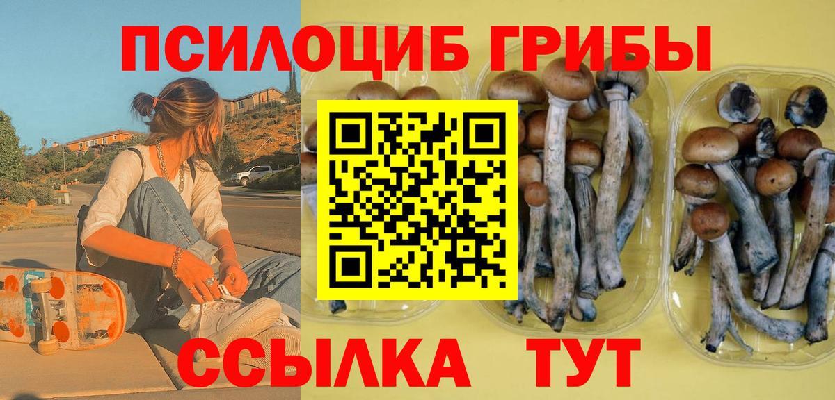 Псилоцибиновые грибы Cubensis Аргун